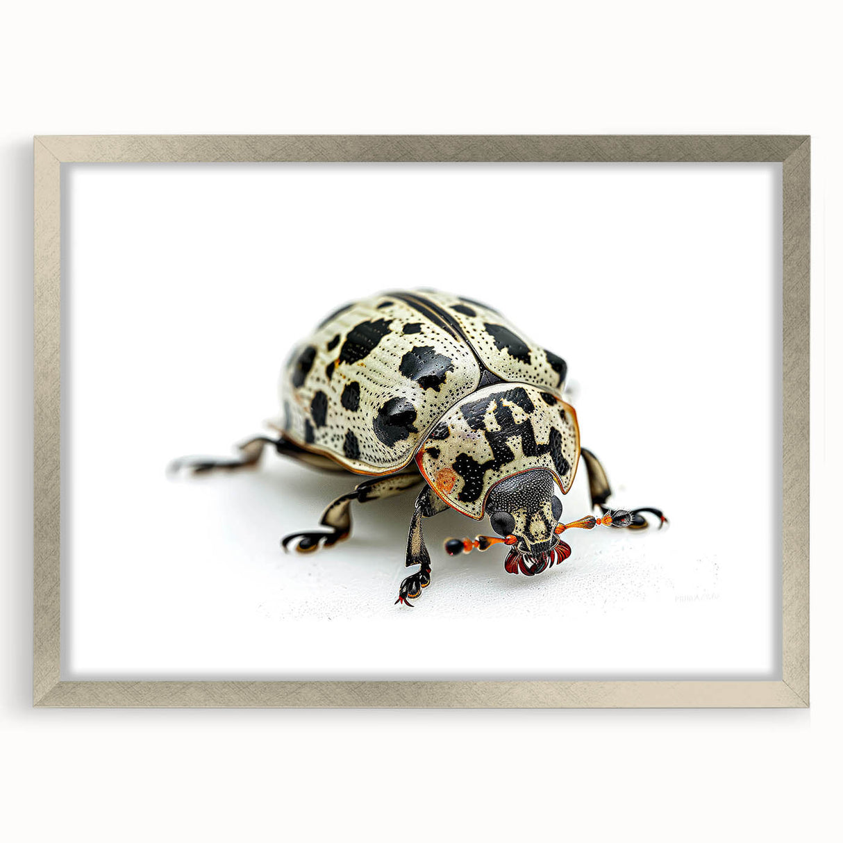Framed wall art featuring a detailed insect and arachnid beetle design in silver, highlighting intricate patterns and textures, perfect for nature enthusiasts’ decor.