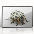 Framed wall art featuring a detailed beetle and arachnid design, presented in a sleek black frame, perfect for nature enthusiasts and modern decor. Ideal for adding a unique touch to any living space.
