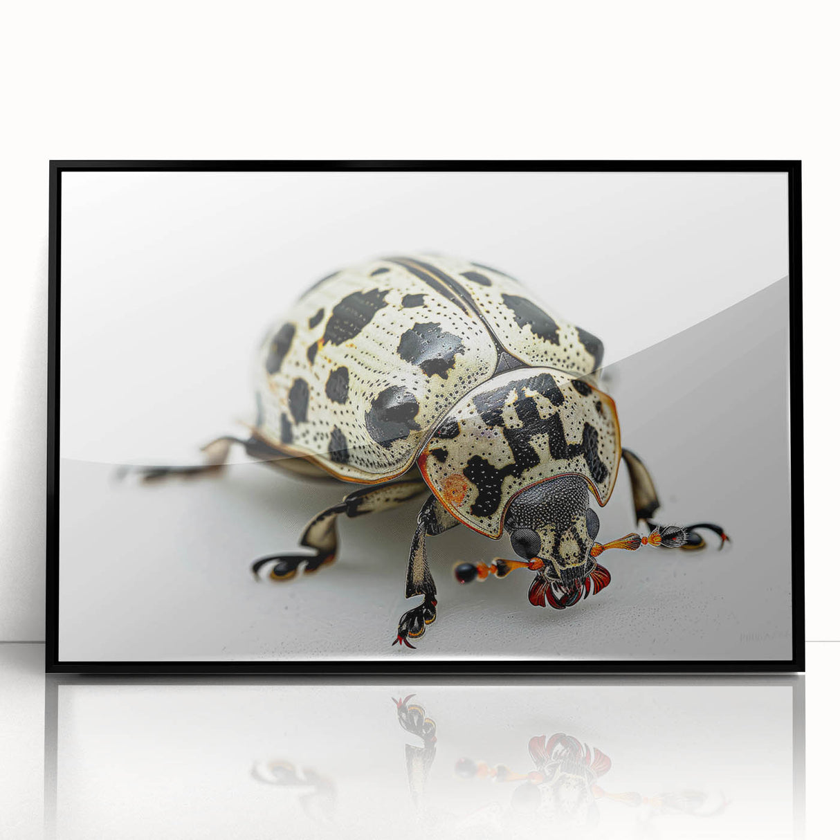 Framed wall art featuring a detailed beetle and arachnid design, presented in a sleek black frame, perfect for nature enthusiasts and modern decor. Ideal for adding a unique touch to any living space.