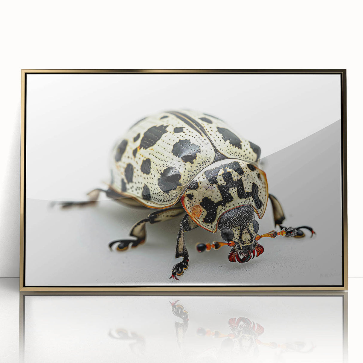 Framed wall art featuring a detailed beetle design in vibrant colors, showcased with a gold acrylic frame, perfect for nature enthusiasts and modern decor.