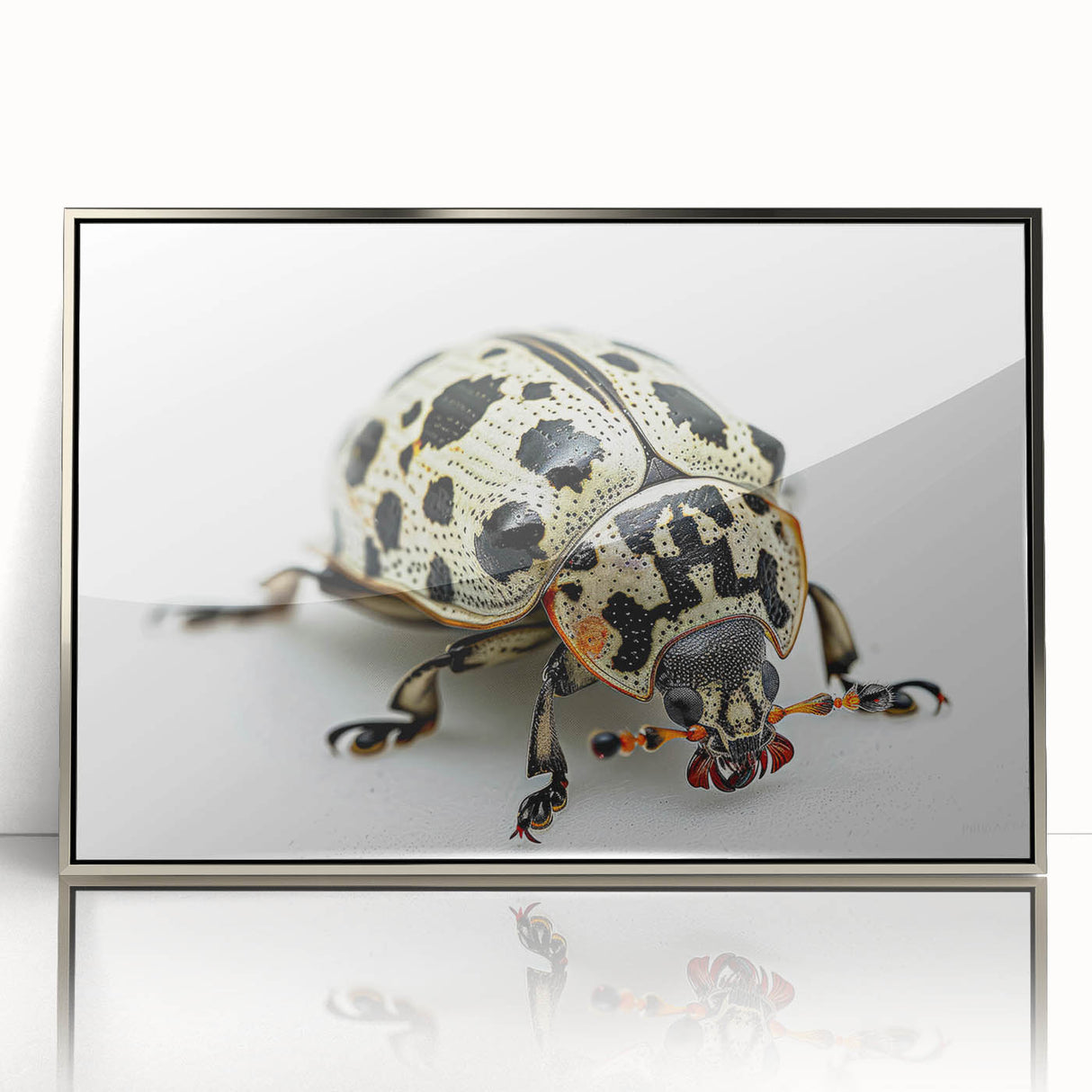 Framed wall art showcasing a detailed beetle design in a modern acrylic frame with a sleek silver finish, perfect for insect enthusiasts and home decor lovers.