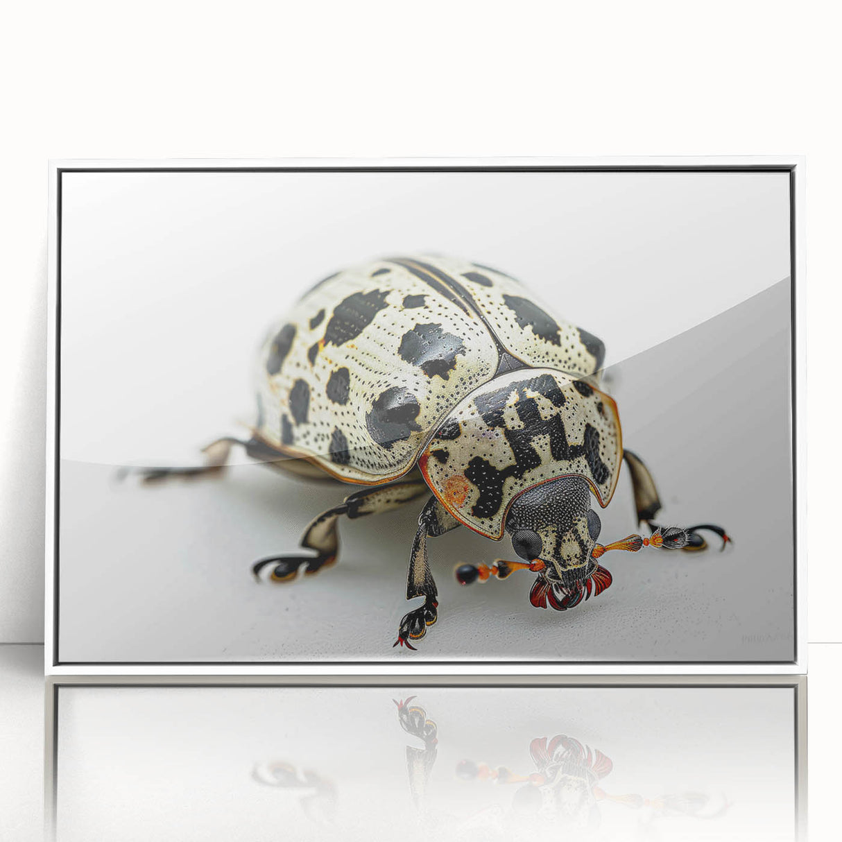 Framed wall art showcasing a detailed beetle design from the Insect and Arachnid collection, featuring a sleek white frame that enhances the intricate artwork. Perfect for nature enthusiasts and modern decor.