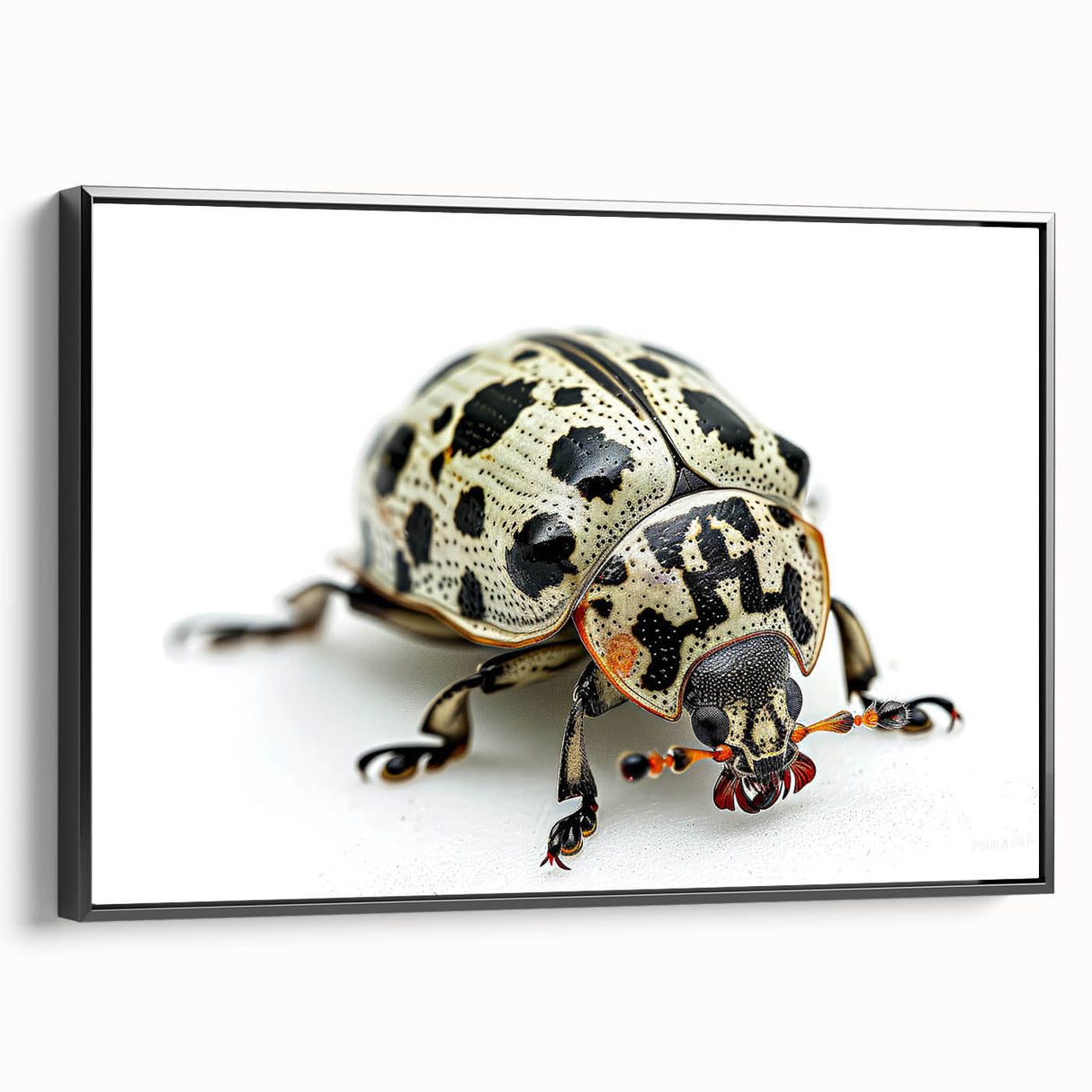 Framed wall art featuring a detailed beetle design from an insect and arachnid collection, showcasing vibrant colors and intricate patterns on black canvas, ideal for nature enthusiasts.