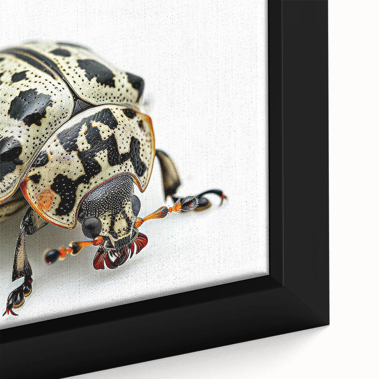 Close-up of a framed canvas artwork showcasing a detailed beetle design from the Insect and Arachnid collection, featuring vibrant colors and intricate patterns, ideal for nature lovers and unique home decor.