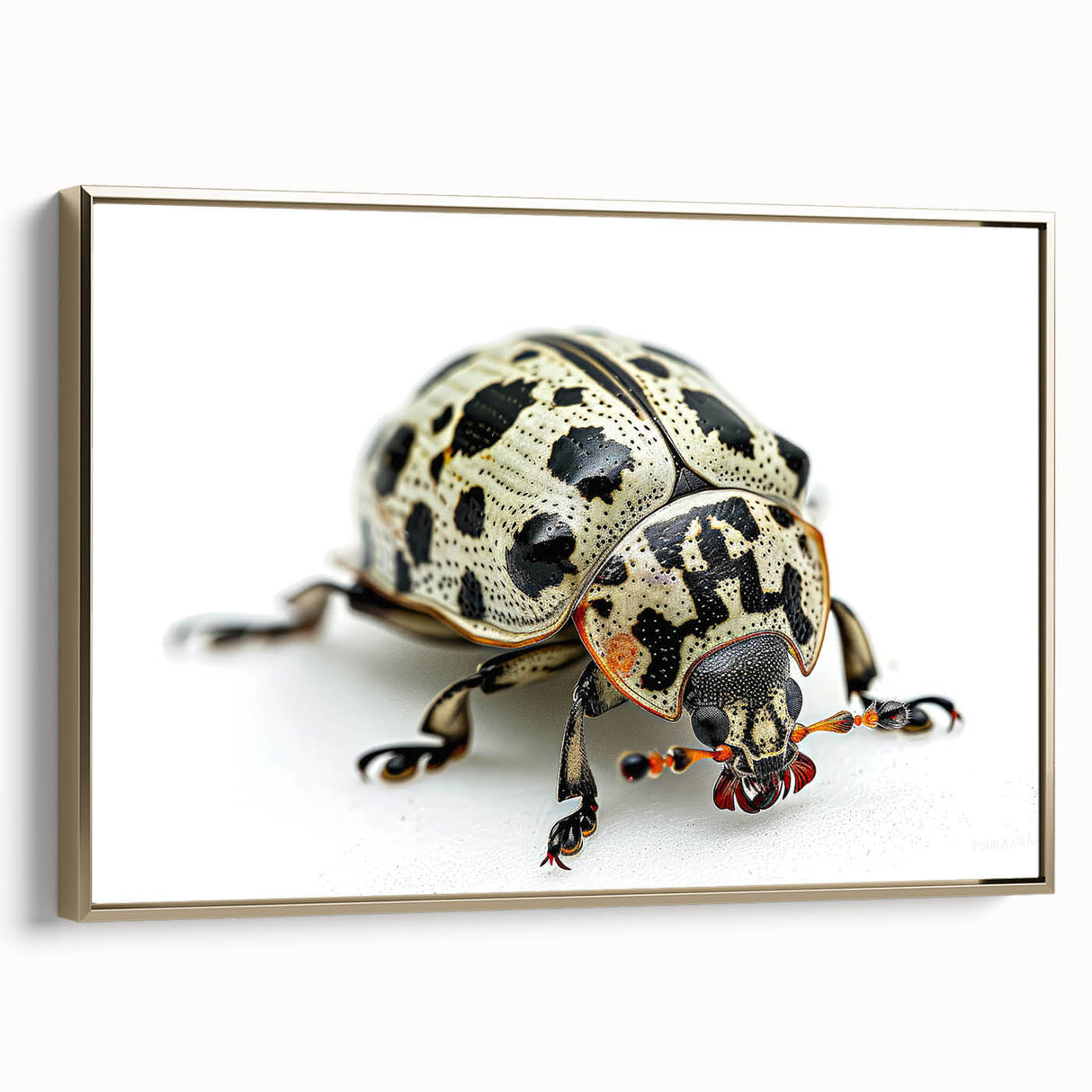 Framed wall art showcasing a detailed beetle design in vibrant colors, featuring gold accents and a sleek side view, perfect for insect enthusiasts and modern decor.