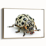 Framed wall art showcasing a detailed beetle design in vibrant colors, featuring gold accents and a sleek side view, perfect for insect enthusiasts and modern decor.