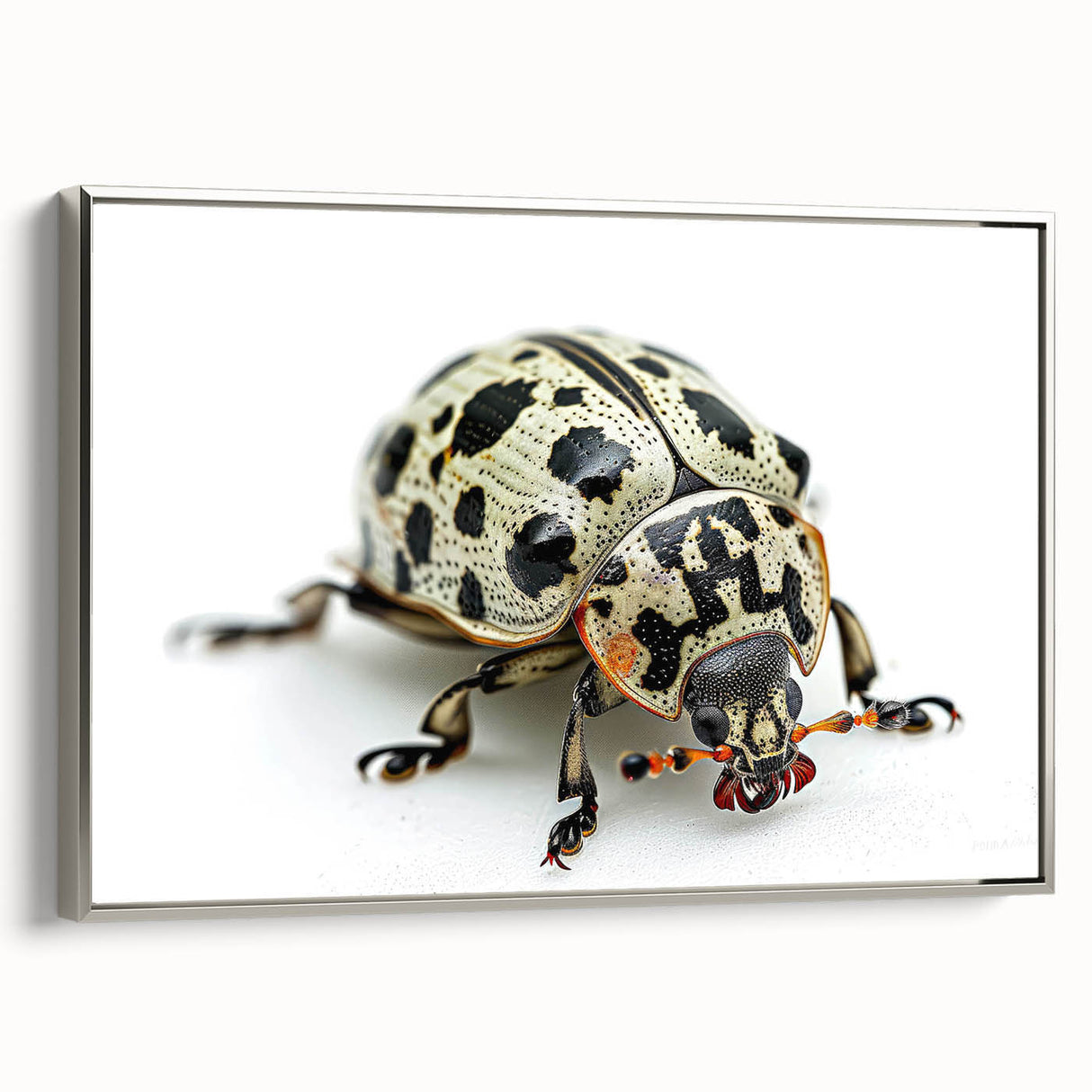 Framed canvas wall art showcasing a detailed insect and arachnid beetle design in silver tones, presented from a side view. Ideal for nature enthusiasts and modern decor.