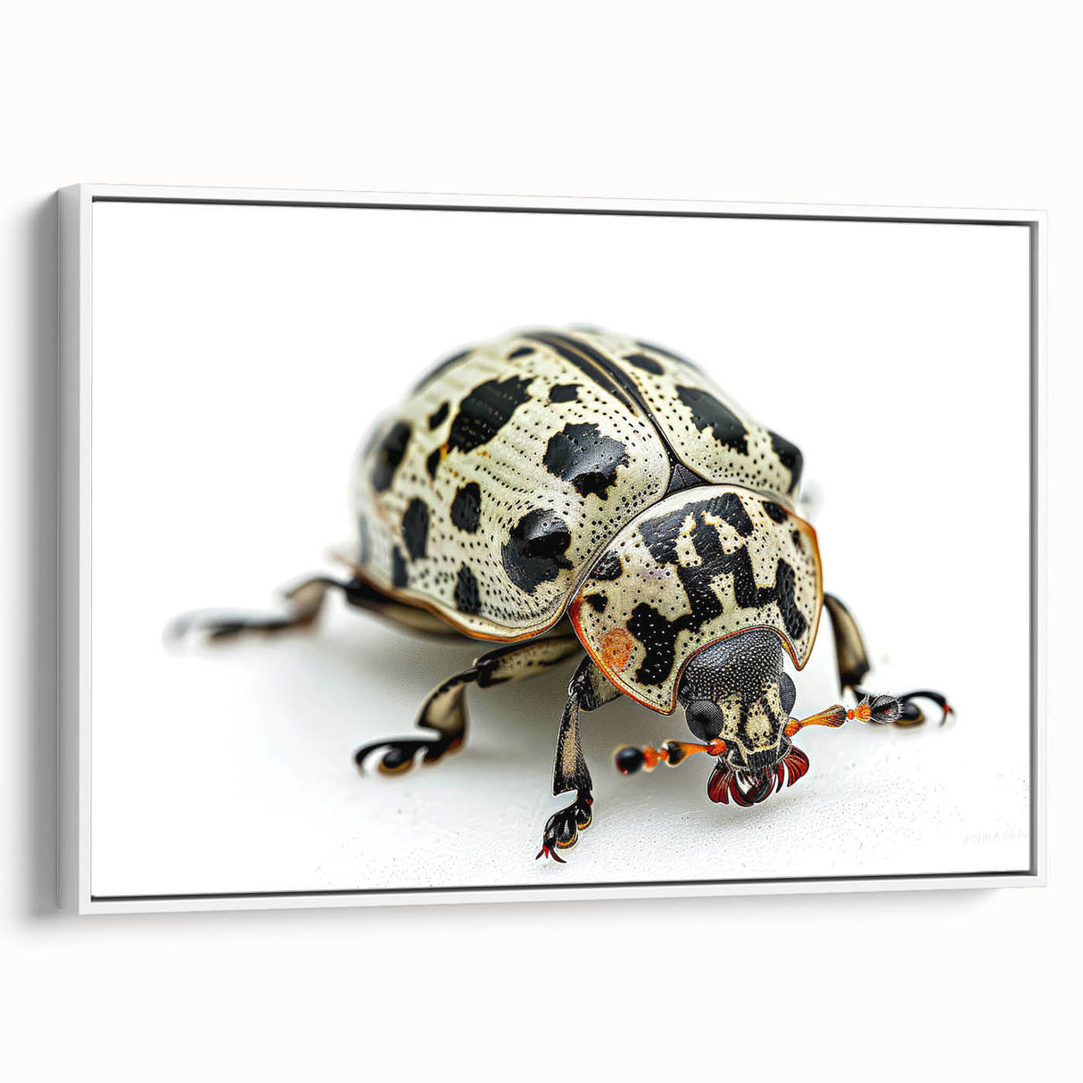Framed wall art showcasing a detailed beetle design from the insect and arachnid collection, set against a white background, perfect for nature enthusiasts.