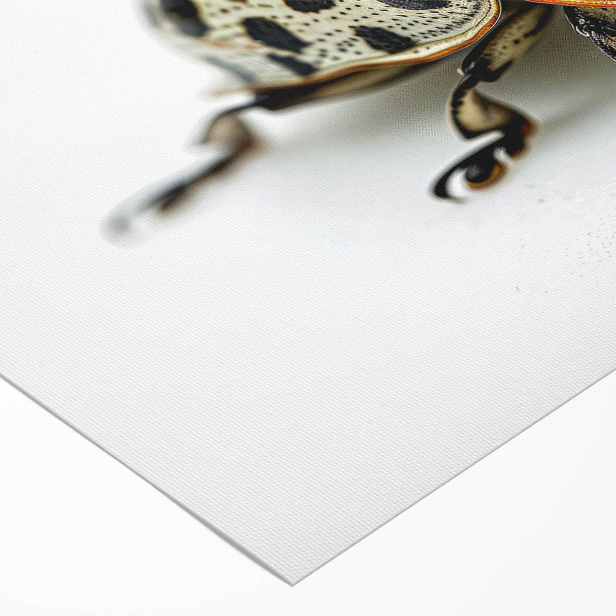 Colorful rolled canvas artwork showcasing a detailed beetle design, perfect for insect enthusiasts or nature-inspired decor, presented in a protective cardboard tube.