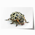 Beetle-themed wall art print showcasing intricate insect and arachnid designs in vibrant colors, rolled for easy display and shipping, perfect for nature enthusiasts.