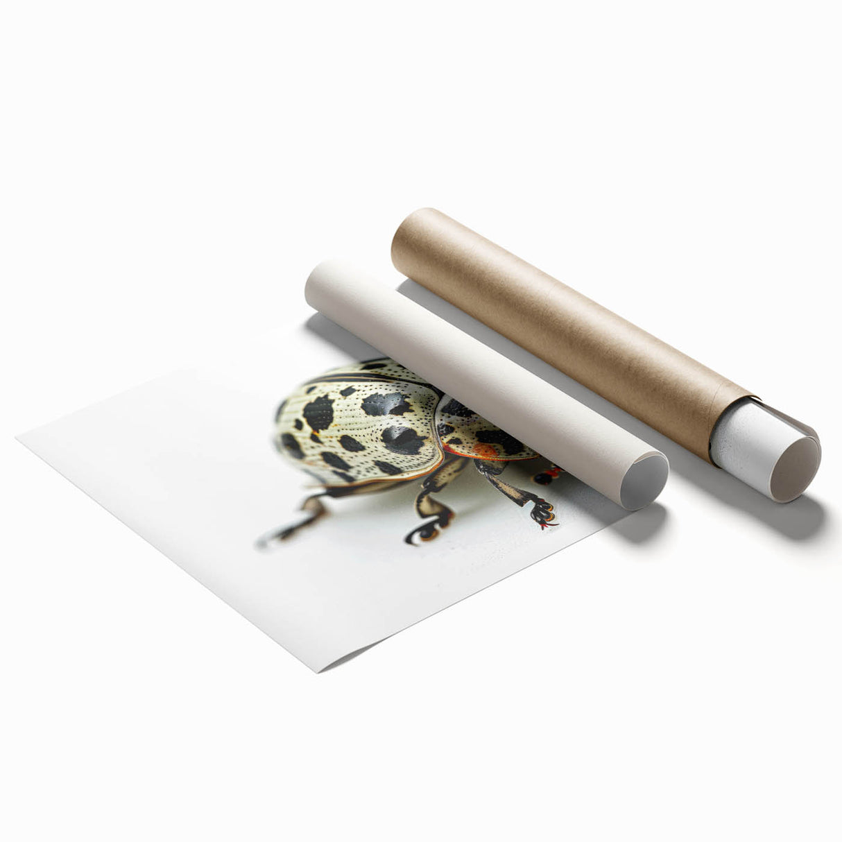 Beetle-themed wall art print showcasing intricate insect and arachnid designs in vibrant colors, rolled and ready for framing, ideal for nature enthusiasts.