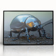 Framed black acrylic wall art showcasing a detailed beetle design, perfect for insect enthusiasts and modern decor, enhancing any room's aesthetic.