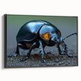Framed wall art showcasing a detailed beetle and arachnid design in vibrant colors, set against a sleek black background, ideal for insect enthusiasts.