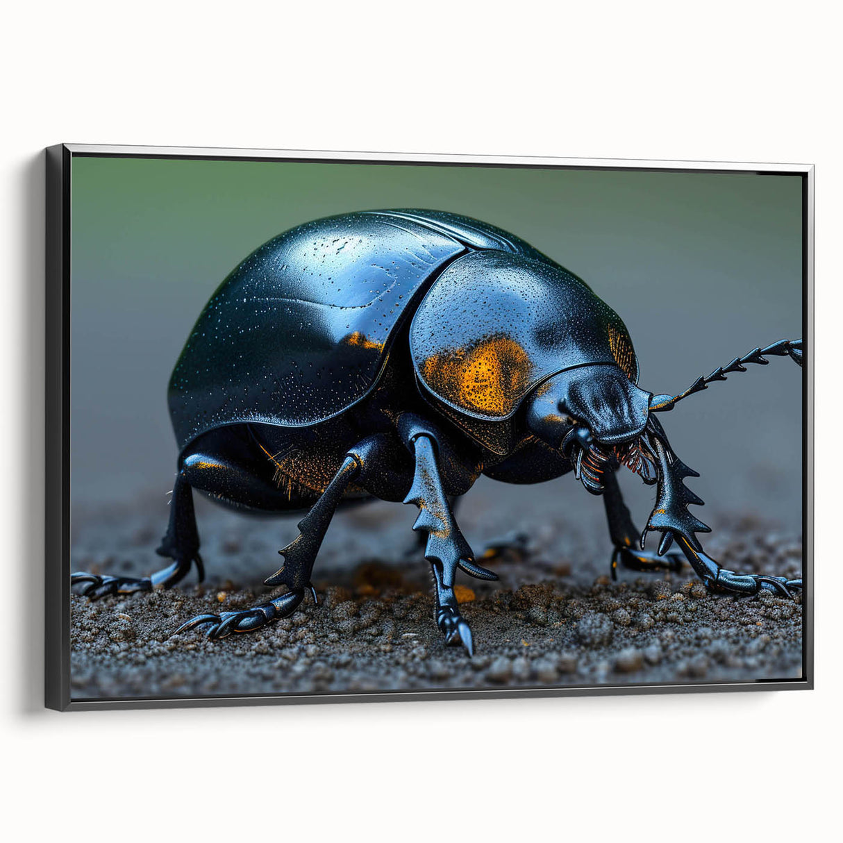 Framed wall art showcasing a detailed beetle and arachnid design in vibrant colors, set against a sleek black background, ideal for insect enthusiasts.