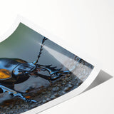 Colorful rolled print showcasing a detailed beetle and arachnid design, perfect for insect enthusiasts, packaged in a secure cardboard tube for protection.