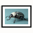 Black-framed wall art showcasing a detailed beetle and arachnid design, featuring intricate illustrations and a stylish mat around the artwork, perfect for nature lovers.