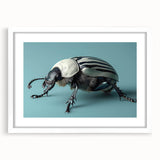 Framed wall art collection showcasing intricately designed beetles and arachnids, featuring a white mat and sleek frame, perfect for insect enthusiasts and home decor.