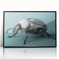 Framed wall art featuring a detailed beetle design, showcasing vibrant colors against a sleek black frame, ideal for insect enthusiasts and modern decor.