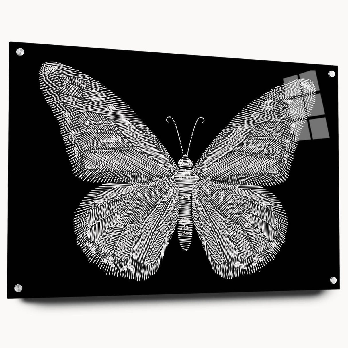 Acrylic wall art showcasing a vibrant butterfly design from the Insect and Arachnid collection, elegantly displayed with pins for mounting, set against a neutral background.