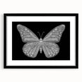 Framed wall art collection featuring a colorful butterfly design on a black mat, showcasing intricate insect and arachnid illustrations, ideal for nature lovers.