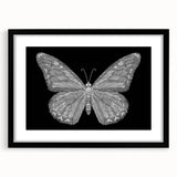 Framed wall art collection featuring a colorful butterfly design on a black mat, showcasing intricate insect and arachnid illustrations, ideal for nature lovers.