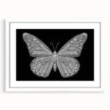 Framed wall art featuring a colorful butterfly design from the Insect and Arachnid collection, set against a white mat, ideal for home decor and nature enthusiasts.