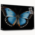 Colorful butterfly wall art design displayed in a side view on acrylic glass, featuring intricate details and pinned for a modern aesthetic. Perfect for nature-inspired decor.