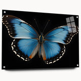 Colorful butterfly wall art design displayed in a side view on acrylic glass, featuring intricate details and pinned for a modern aesthetic. Perfect for nature-inspired decor.
