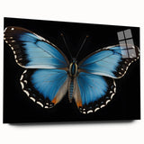 Colorful butterfly and insect wall art collection displayed in a sleek acrylic frame, showcasing intricate designs and vibrant hues perfect for modern decor.