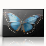 Framed wall art collection featuring a vibrant butterfly design, showcasing intricate insect and arachnid details on a sleek black background, perfect for nature lovers.
