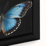 Close-up of a framed canvas wall art featuring a detailed butterfly design from the Insect and Arachnid collection, showcasing vibrant colors and intricate patterns against a textured background, perfect for nature enthusiasts and modern decor.
