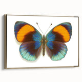 Framed wall art showcasing a vibrant butterfly design, part of the Insect and Arachnid collection. The canvas features rich colors and a gold frame, perfect for adding a touch of nature-inspired elegance to any space.