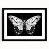 Framed wall art collection showcasing a vibrant butterfly and insect design, featuring a sleek black frame and mat, perfect for nature enthusiasts and home decor.