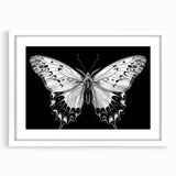Framed wall art featuring a vibrant butterfly and arachnid design on a white mat, ideal for nature enthusiasts and modern decor, showcasing intricate details and colors.