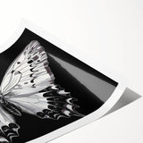 Vibrant wall art print featuring a detailed butterfly design, showcasing intricate insect and arachnid patterns in vivid colors, perfect for nature enthusiasts' decor.