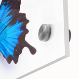 Close-up of vibrant acrylic wall art featuring intricate butterfly and insect designs on glass, showcasing colorful details and artistic craftsmanship, perfect for nature-themed decor.