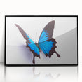 Framed wall art featuring an intricate butterfly design, showcasing vivid colors and detailed insect illustrations, perfect for enhancing home decor.