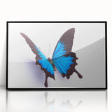 Framed wall art featuring an intricate butterfly design, showcasing vivid colors and detailed insect illustrations, perfect for enhancing home decor.