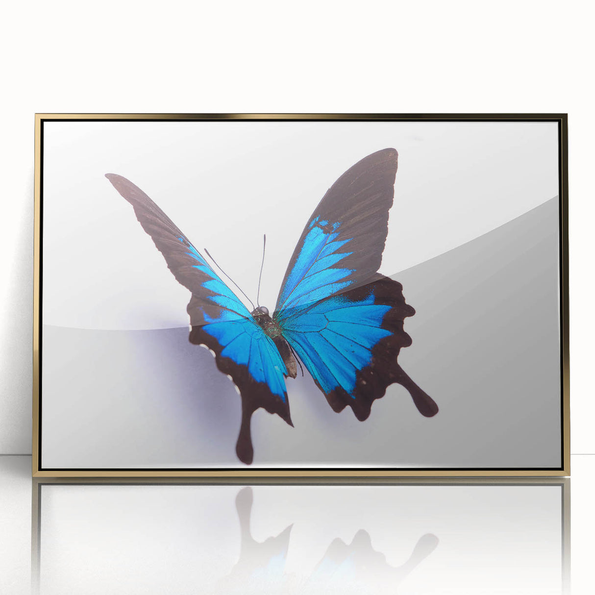 Framed wall art collection showcasing a detailed butterfly and insect design, featuring vibrant colors and a sleek gold frame, perfect for enhancing modern decor.