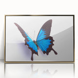 Framed wall art collection showcasing a detailed butterfly and insect design, featuring vibrant colors and a sleek gold frame, perfect for enhancing modern decor.