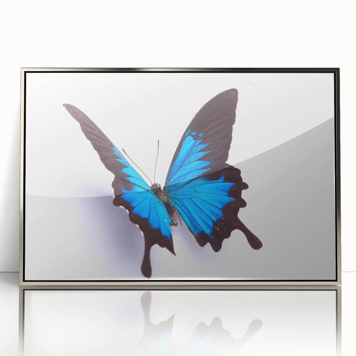 Framed wall art featuring a vibrant butterfly design with intricate insect and arachnid illustrations, displayed in a sleek silver-acrylic frame, perfect for modern decor.