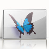 Framed acrylic wall art collection featuring a vibrant butterfly and insect design on a white background, ideal for modern decor. Perfect as a statement piece for nature lovers.