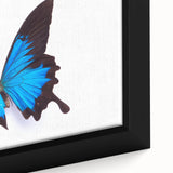 Close-up of a beautifully framed canvas wall art featuring a vibrant butterfly design, showcasing intricate details and vivid colors, perfect for adding a touch of nature-inspired elegance to any space.