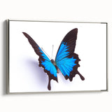 Framed wall art featuring a vibrant butterfly design, showcasing intricate details in shades of blue and orange, set against a sleek silver frame, ideal for home decor.