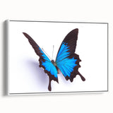 Framed canvas wall art showcasing a vibrant butterfly design with intricate details, set against a white background, ideal for enhancing modern decor aesthetics.