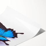 Colorful butterfly and arachnid design rolled print wall art, showcasing intricate details and vibrant colors, perfect for nature enthusiasts and modern decor.