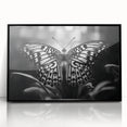 Framed wall art featuring a vibrant butterfly design with intricate details, set in a sleek black frame, perfect for enhancing modern decor. Ideal for nature lovers and art enthusiasts.