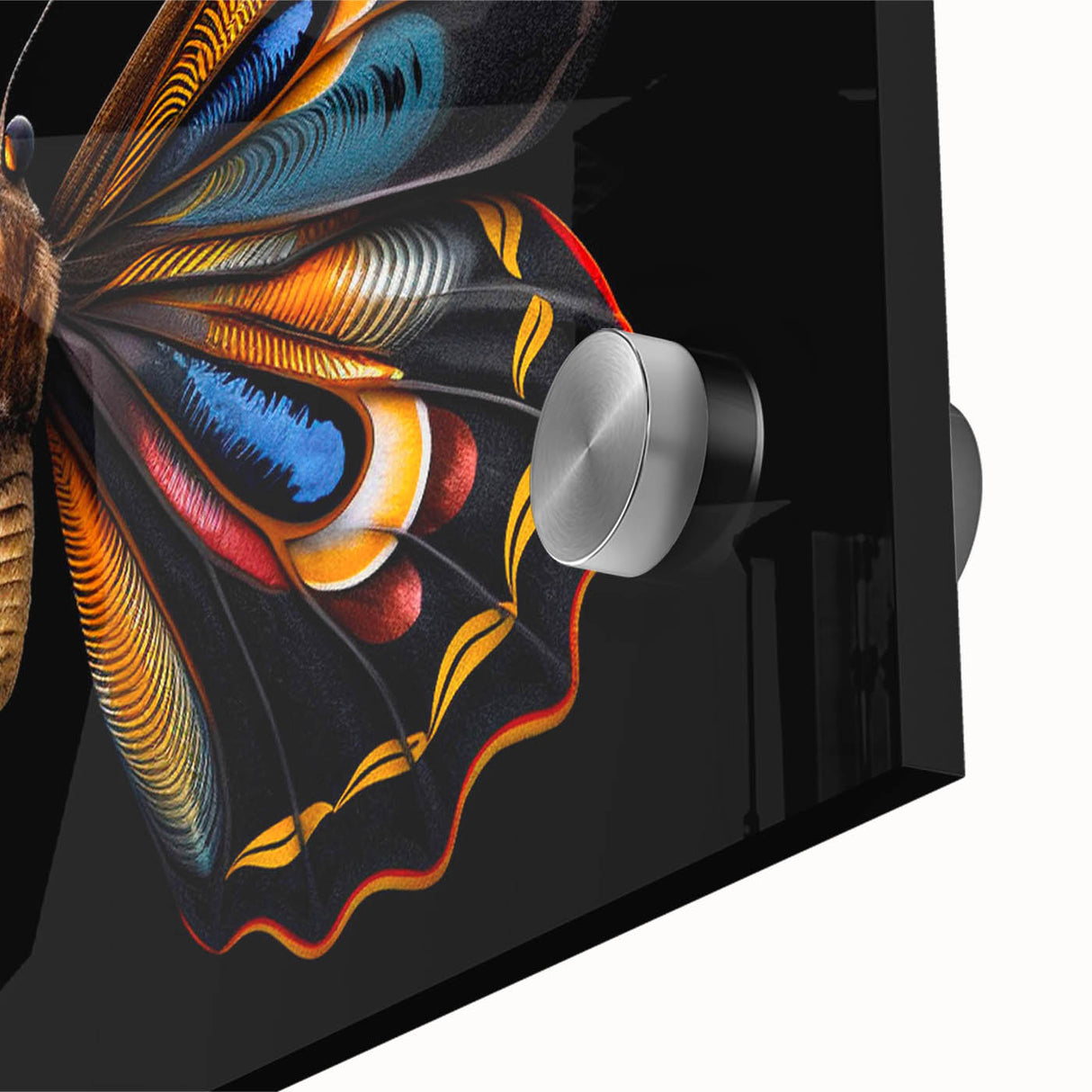 Close-up of a vibrant butterfly design wall art piece, showcasing intricate details and vivid colors on acrylic glass, perfect for nature-themed decor.