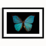 Framed butterfly and arachnid wall art collection showcasing intricate insect designs in vibrant colors, featuring a sleek black frame and mat for an elegant display.