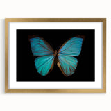Framed wall art collection showcasing a vibrant butterfly design, featuring intricate insect and arachnid illustrations in a gold frame, perfect for home decor.